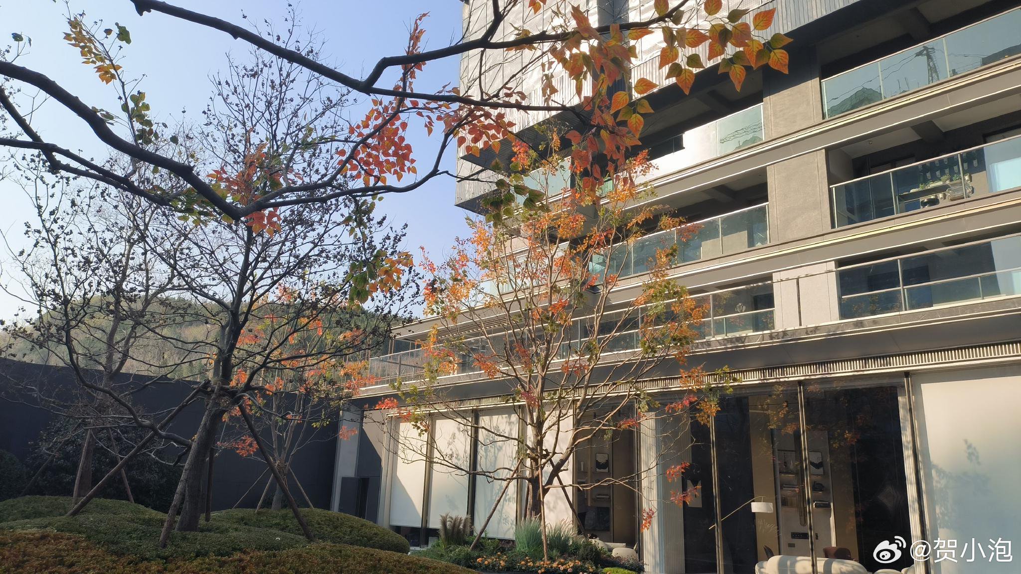 雪山华润凤鸣润府样板间示范区开放了……|楼座_新浪新闻