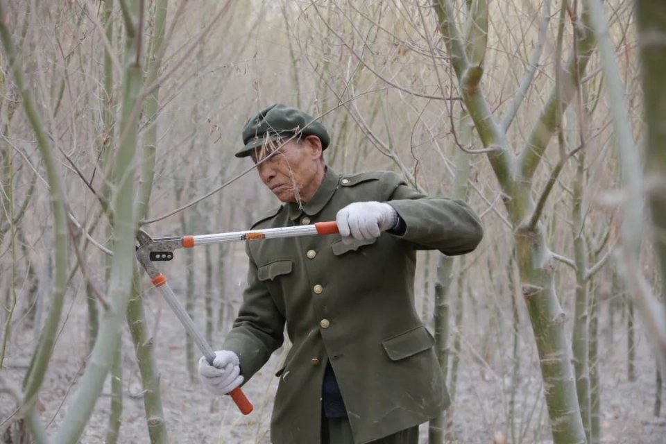 王成帮|老人|官兵们_新浪新闻