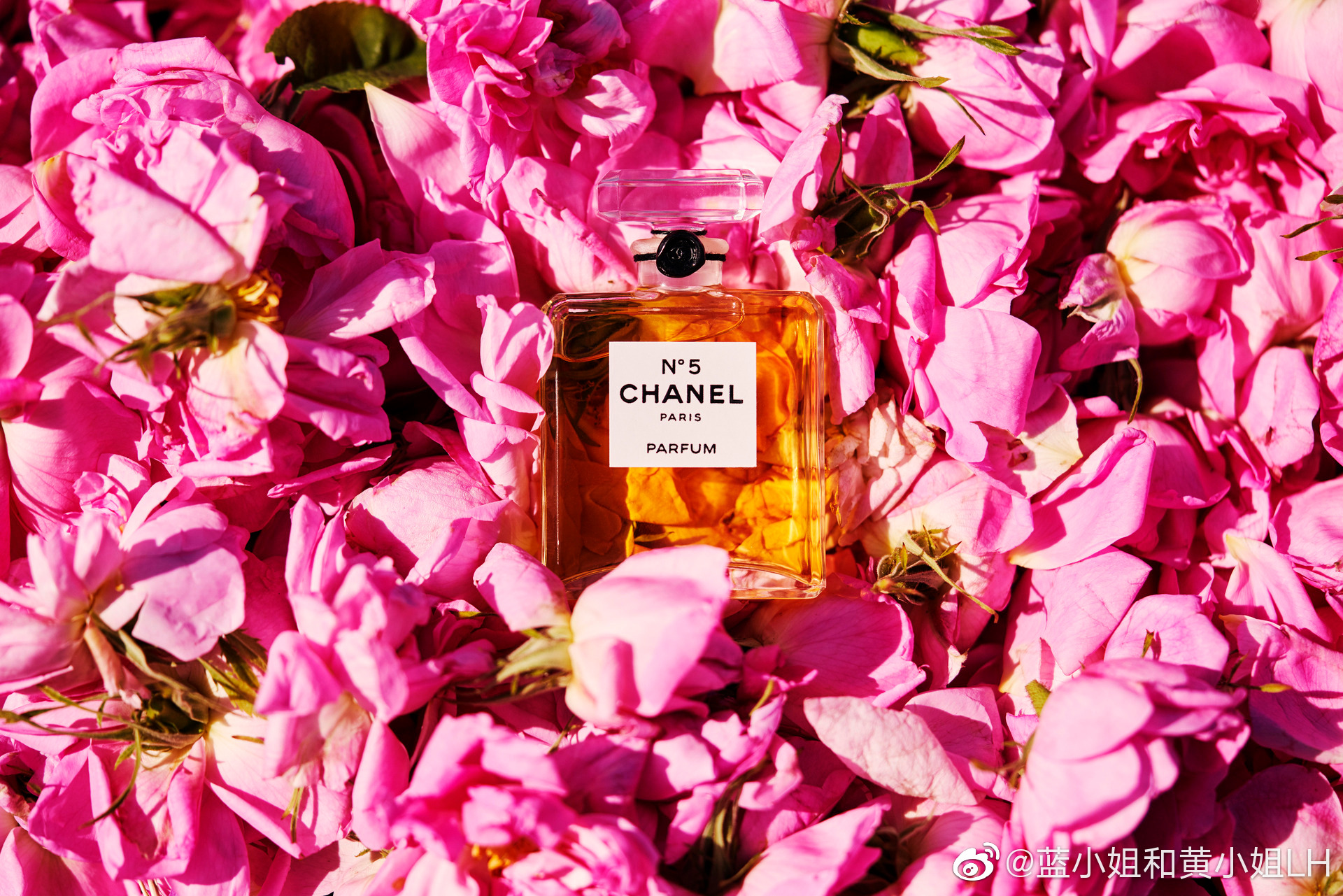 好想去格拉斯度个假,亲眼看看盛开的五月玫瑰,和传奇香水no.