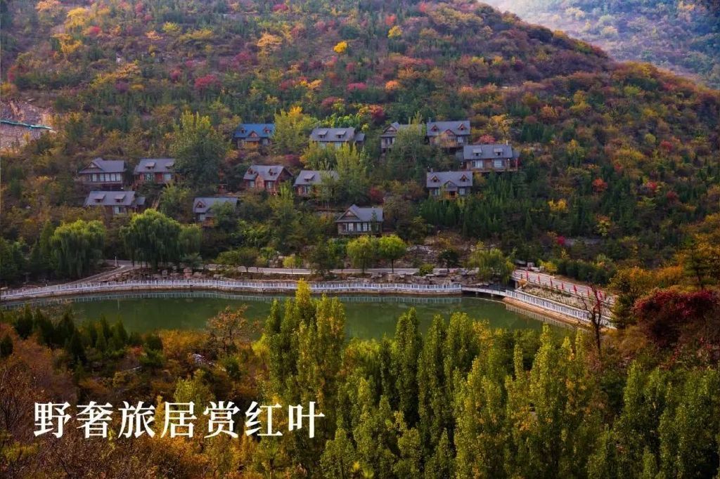 秋天美成童话秘境!淄博这些“赏红叶”宝藏地,我也就心动了999次吧~休闲区蓝鸢梦想 - Www.slyday.coM 秋天美成童话秘境!淄博这些“赏红叶”宝藏地,我也就心动了999次吧~休闲区蓝鸢梦想 - Www.slyday.coM