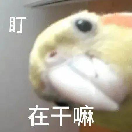 表情包 | 心很痛,对不对? 拿图点赞、吱声__财经头条