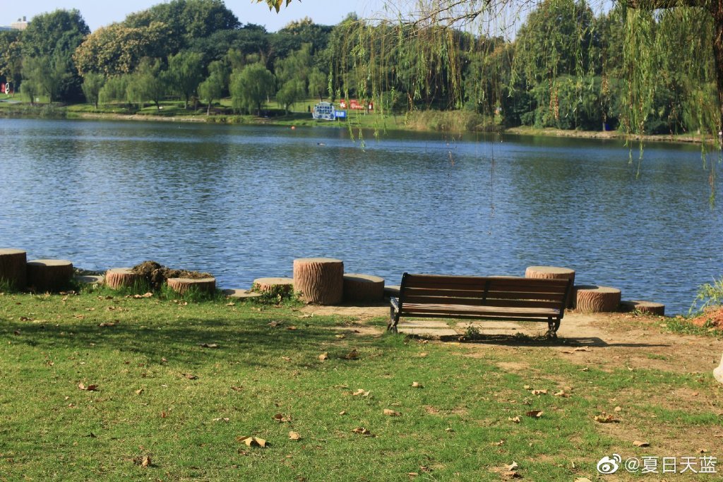 南京·花神湖公园 | 这里环境优美,水质清澈……__财经头条
