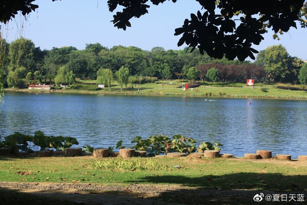 南京·花神湖公园 | 这里环境优美,水质清澈……__财经头条
