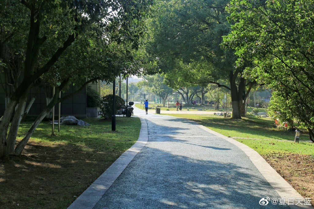 南京·花神湖公园 | 这里环境优美,水质清澈……__财经头条