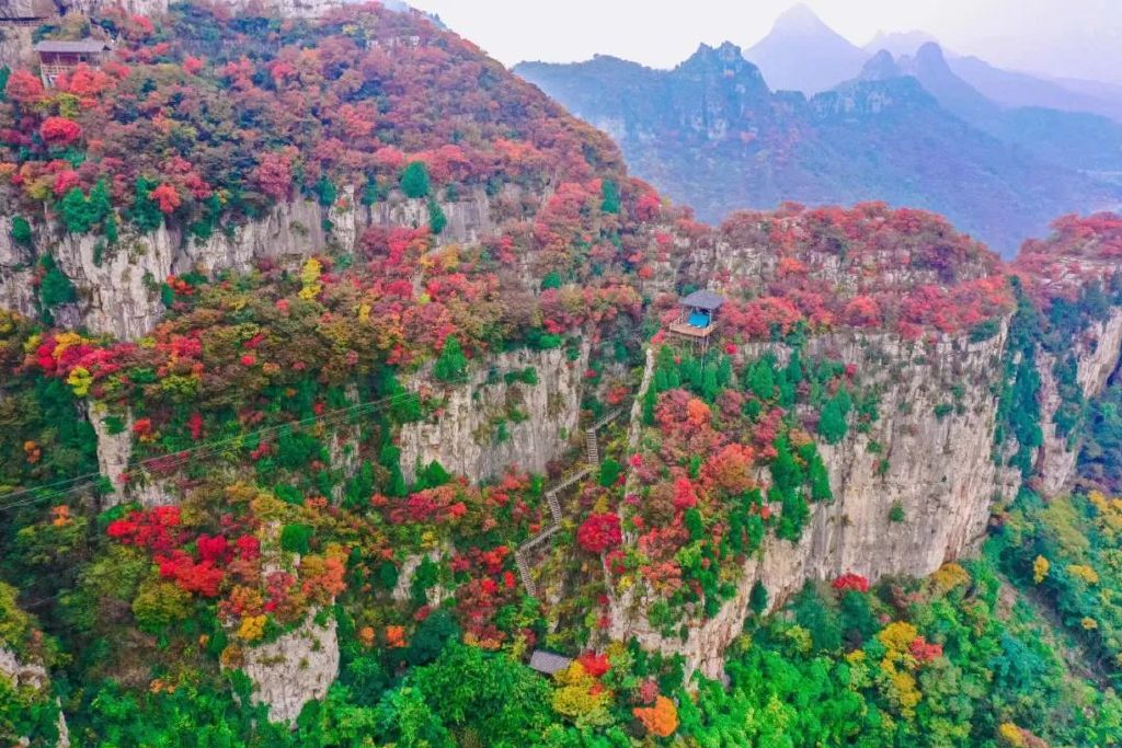 秋天美成童话秘境!淄博这些“赏红叶”宝藏地,我也就心动了999次吧~休闲区蓝鸢梦想 - Www.slyday.coM 秋天美成童话秘境!淄博这些“赏红叶”宝藏地,我也就心动了999次吧~休闲区蓝鸢梦想 - Www.slyday.coM