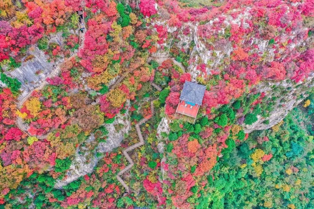 秋天美成童话秘境!淄博这些“赏红叶”宝藏地,我也就心动了999次吧~休闲区蓝鸢梦想 - Www.slyday.coM 秋天美成童话秘境!淄博这些“赏红叶”宝藏地,我也就心动了999次吧~休闲区蓝鸢梦想 - Www.slyday.coM