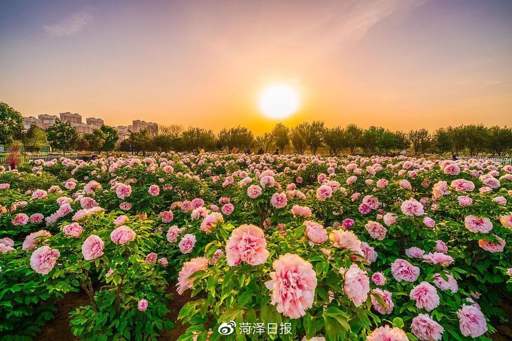 51凤楼：一座城市地标的记忆与新生——城市文化地标和旅游景点的多样魅力