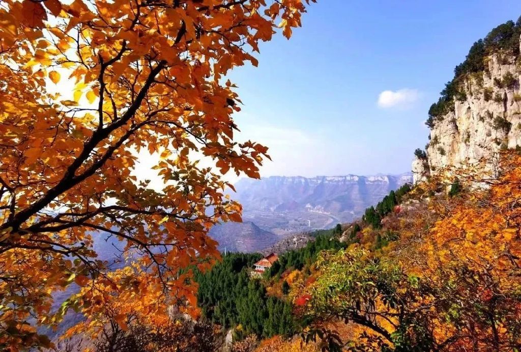 秋天美成童话秘境!淄博这些“赏红叶”宝藏地,我也就心动了999次吧~休闲区蓝鸢梦想 - Www.slyday.coM 秋天美成童话秘境!淄博这些“赏红叶”宝藏地,我也就心动了999次吧~休闲区蓝鸢梦想 - Www.slyday.coM