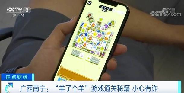 央视揭秘：《羊了个羊》通关诈骗陷阱（附视频）休闲区蓝鸢梦想 - Www.slyday.coM