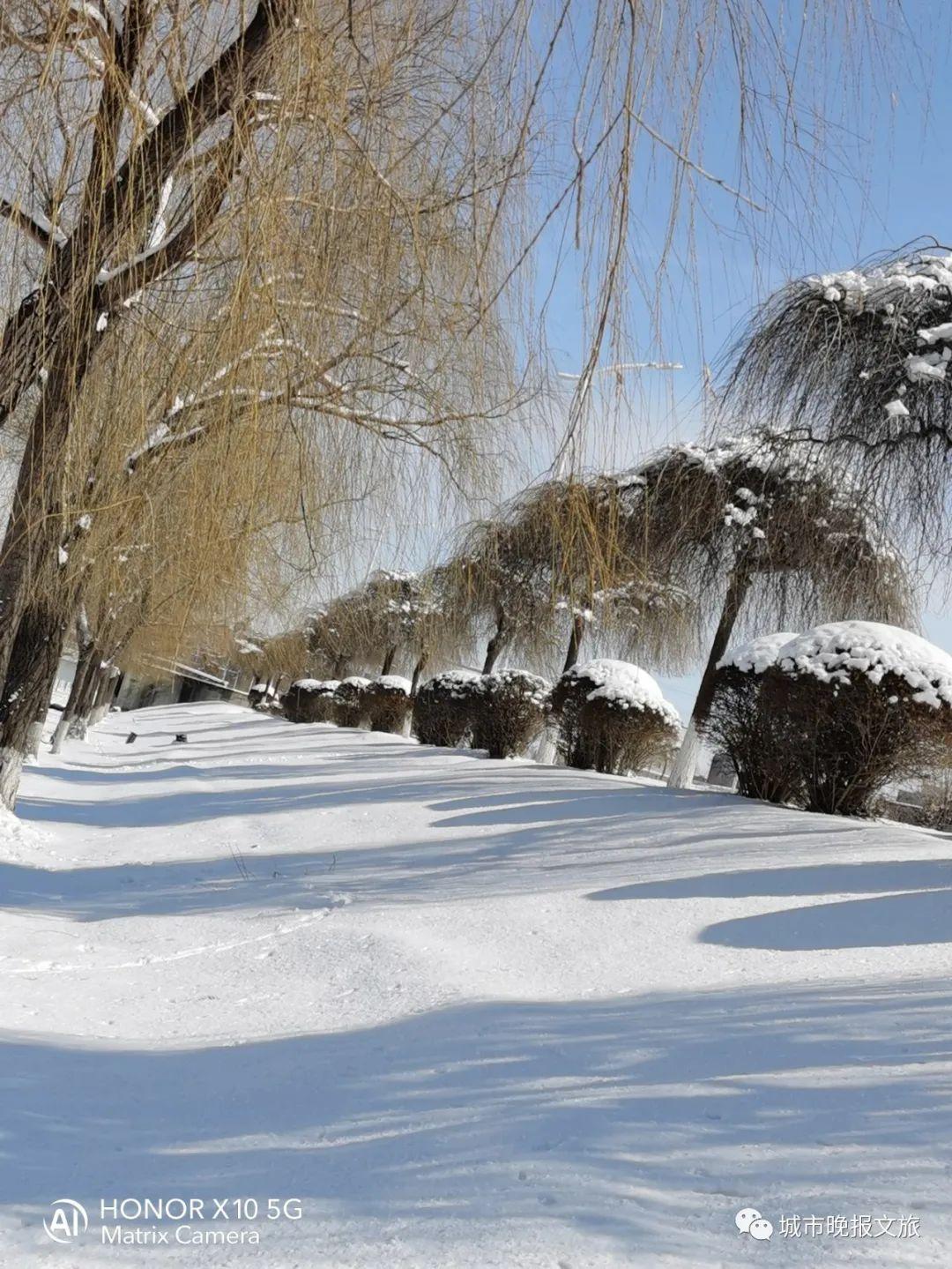 城晚拍拍丨雪霁天晴待春归