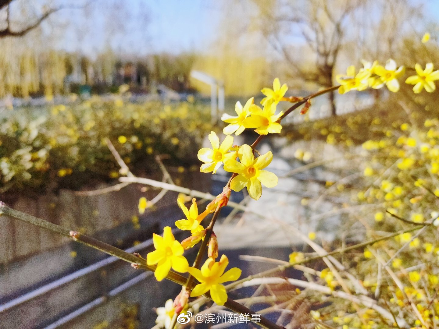 春日新立河公园