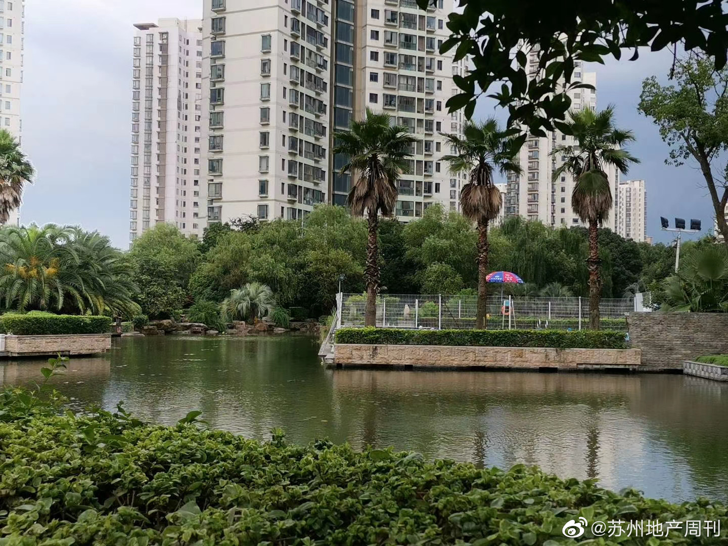 自由水岸近期