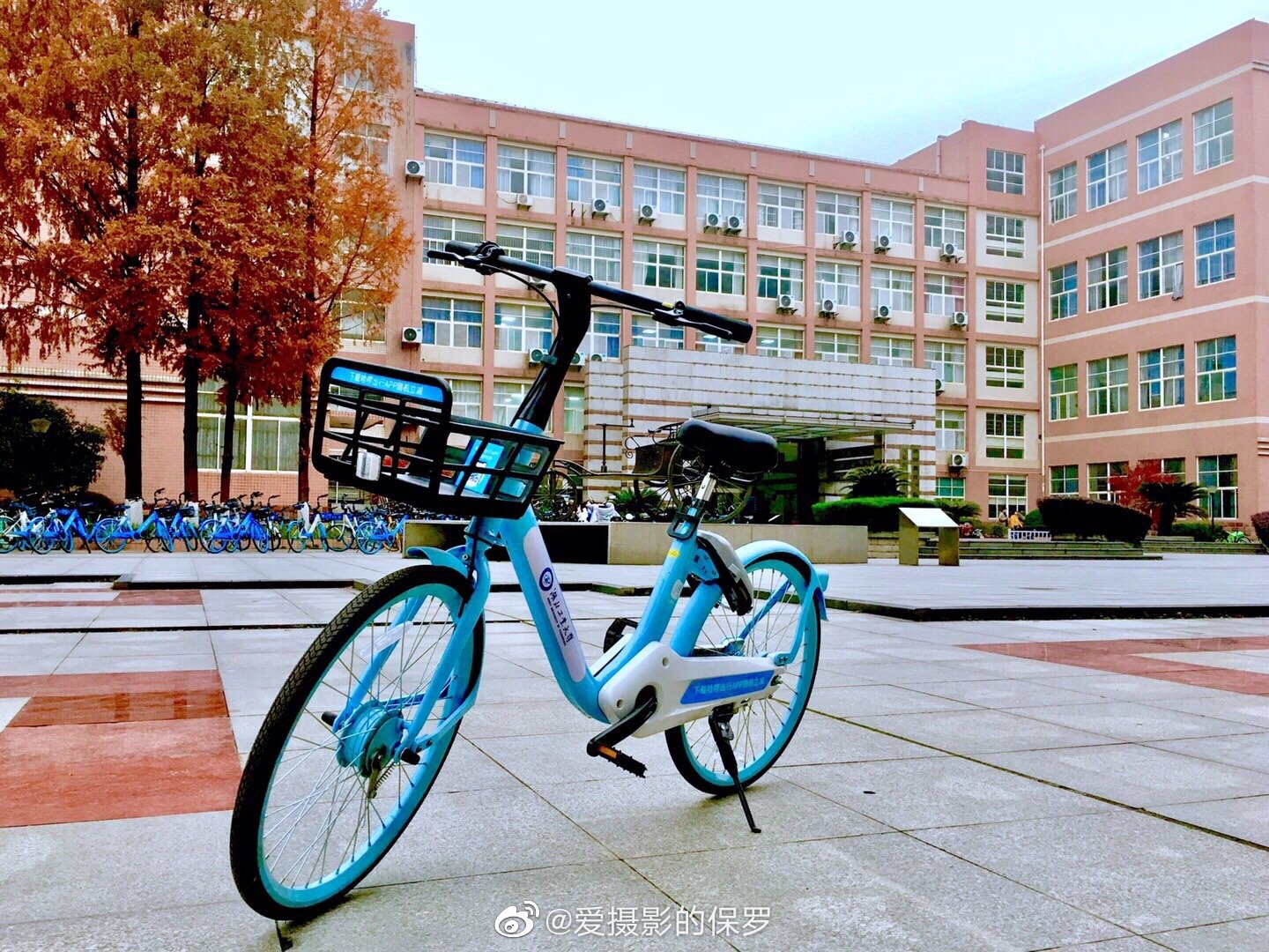 下午外出办事在校园仔细看了这换装的共享单车