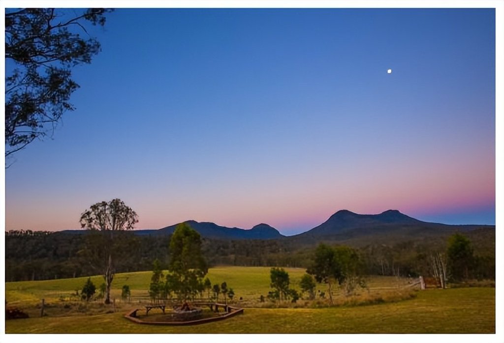 探索澳大利亚令人着迷的巨蜥世界