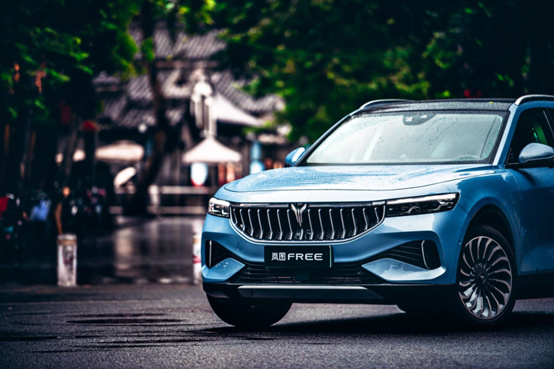30万级新能源SUV对比，岚图FREE和问界M5选谁更合适？