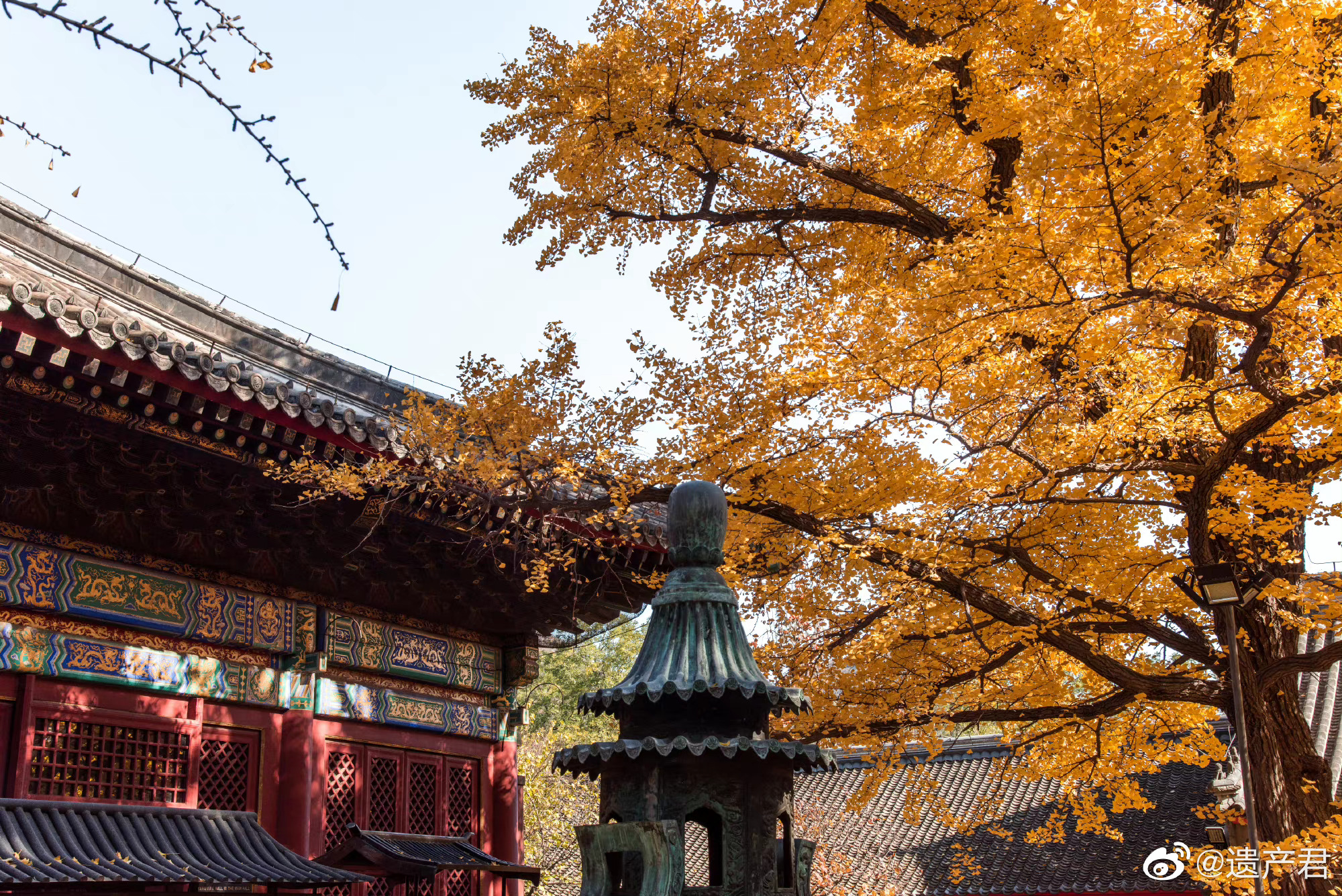 于朦胧演过哪些戏 三生三世白真是谁演的