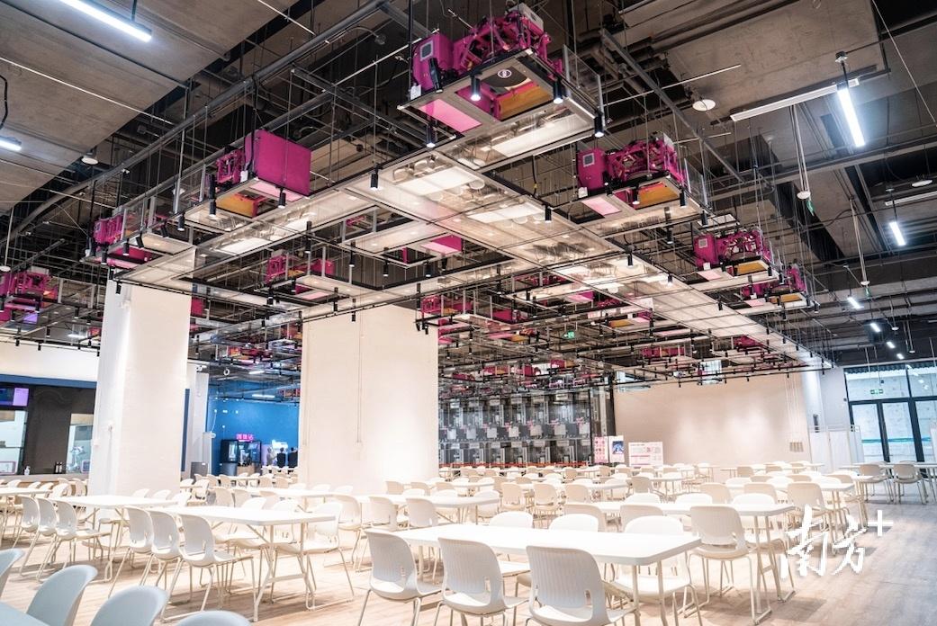 "佛山造"餐饮机器人亮相冬奥会|智慧|餐厅|智能_新浪新闻