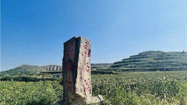 普洱美食的双面叙事:从慢火熬制到200秒出餐的文化嬗变