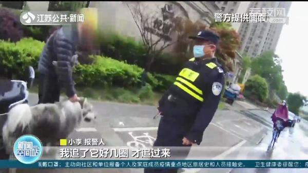 狗狗当街“流浪”主人被罚50元 提醒：犬证须在犬类生活当地办理休闲区蓝鸢梦想 - Www.slyday.coM