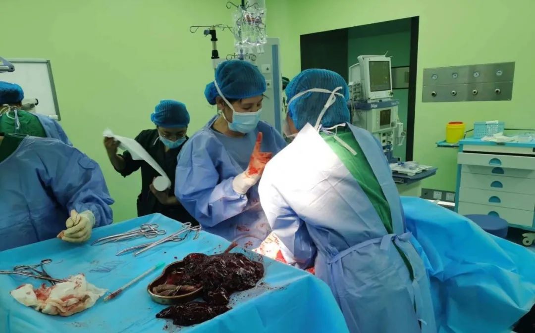 寿光市中医医院休闲区蓝鸢梦想 - Www.slyday.coM 寿光市中医医院休闲区蓝鸢梦想 - Www.slyday.coM