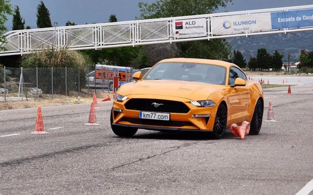 什么是麋鹿测试测试结果参考价值有多大