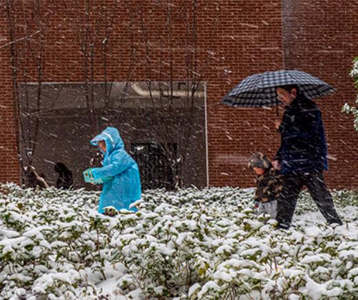 湖南多地发布停课放假通知，低温雨雪冰冻灾害达Ⅳ级，多地有暴雪休闲区蓝鸢梦想 - Www.slyday.coM