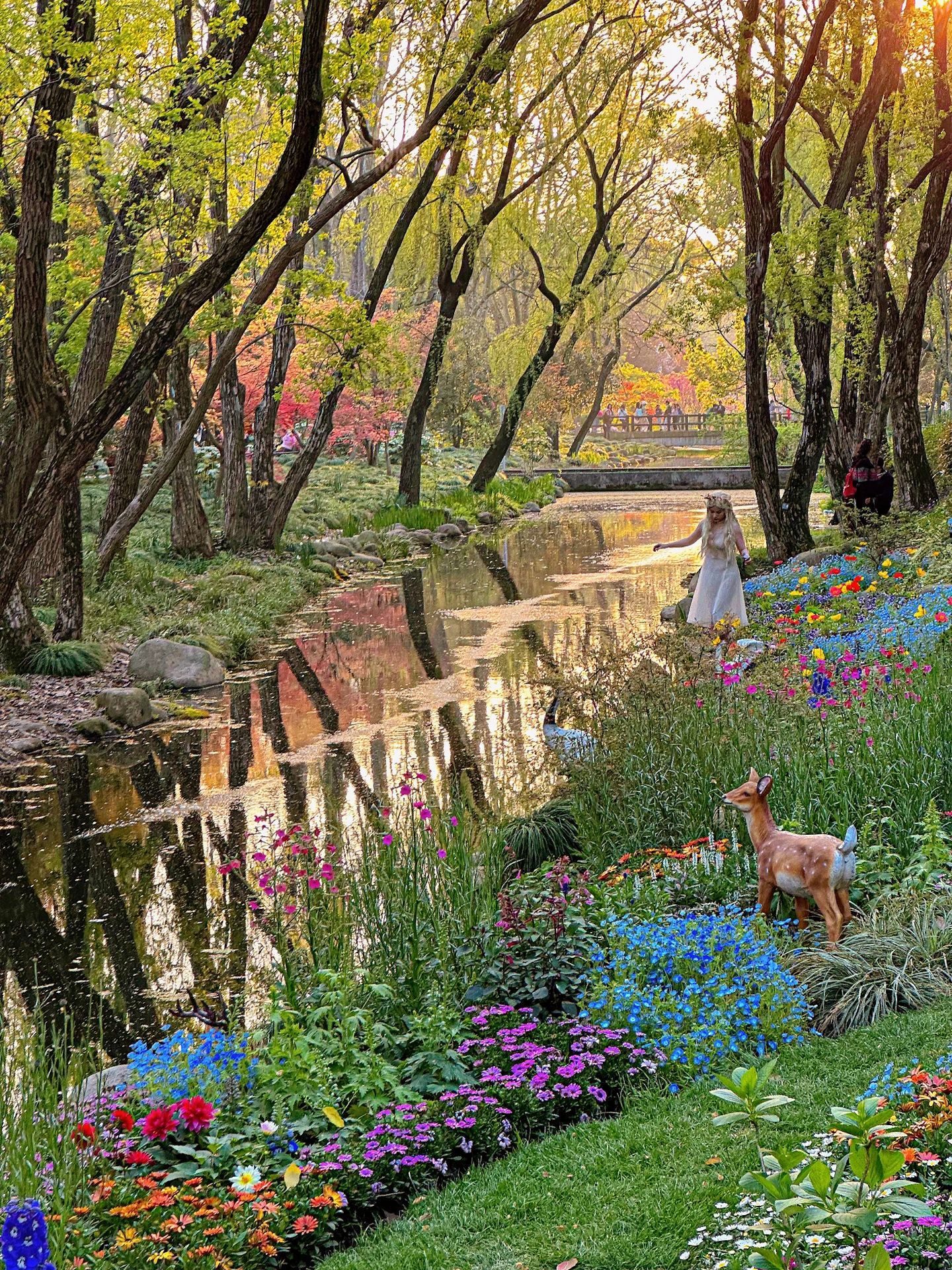 上海莫奈花园_高清图集_新浪网