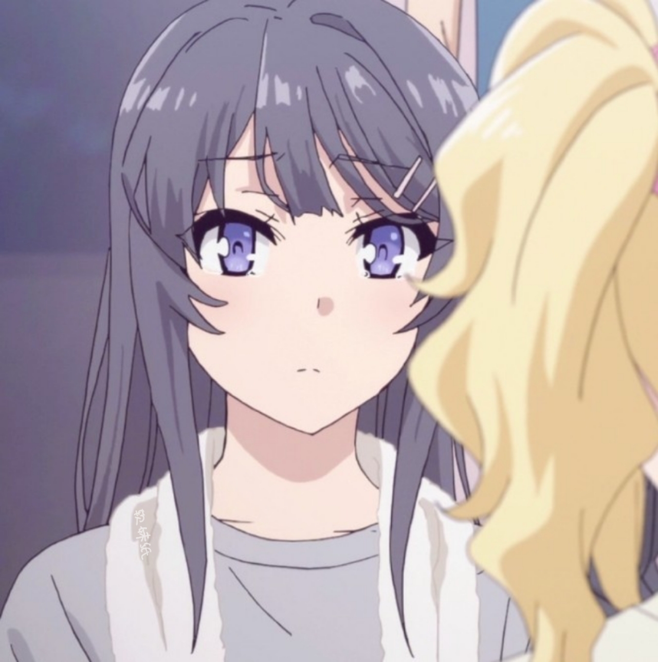 自截闺蜜头像《青春猪头少年系列》樱岛麻衣&丰浜和花78_高清图集