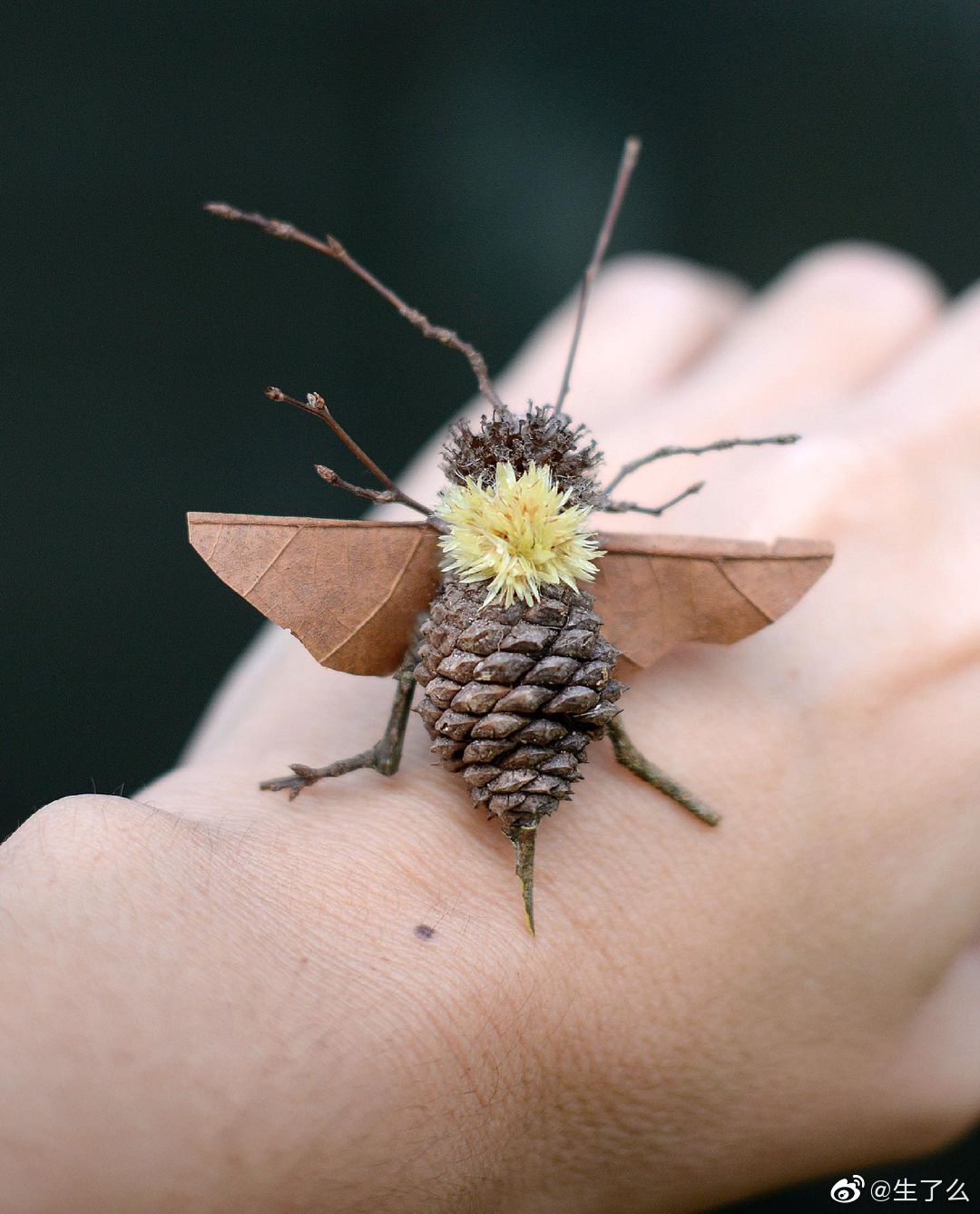 外国宝妈用叶子和树枝做的小动物 栩栩如生不为过吧～!