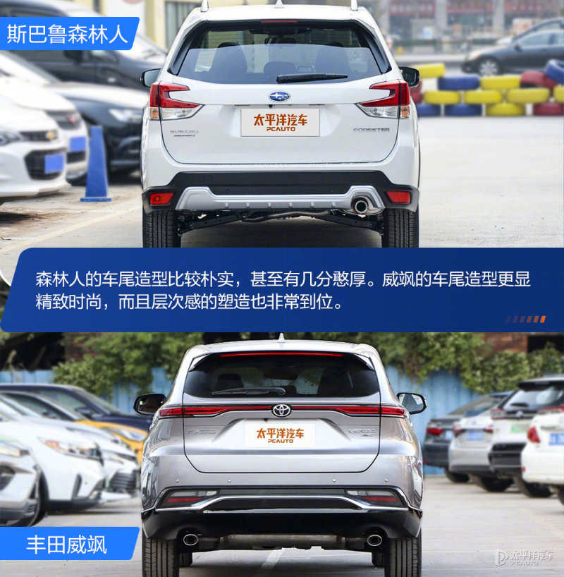 给家人更好的体验 鲁森林人对比威飒