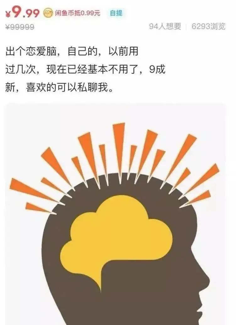 哈哈哈哈~下大雨坚持出门散步的柴犬和被震惊到的柯基!休闲区蓝鸢梦想 - Www.slyday.coM 哈哈哈哈~下大雨坚持出门散步的柴犬和被震惊到的柯基!休闲区蓝鸢梦想 - Www.slyday.coM