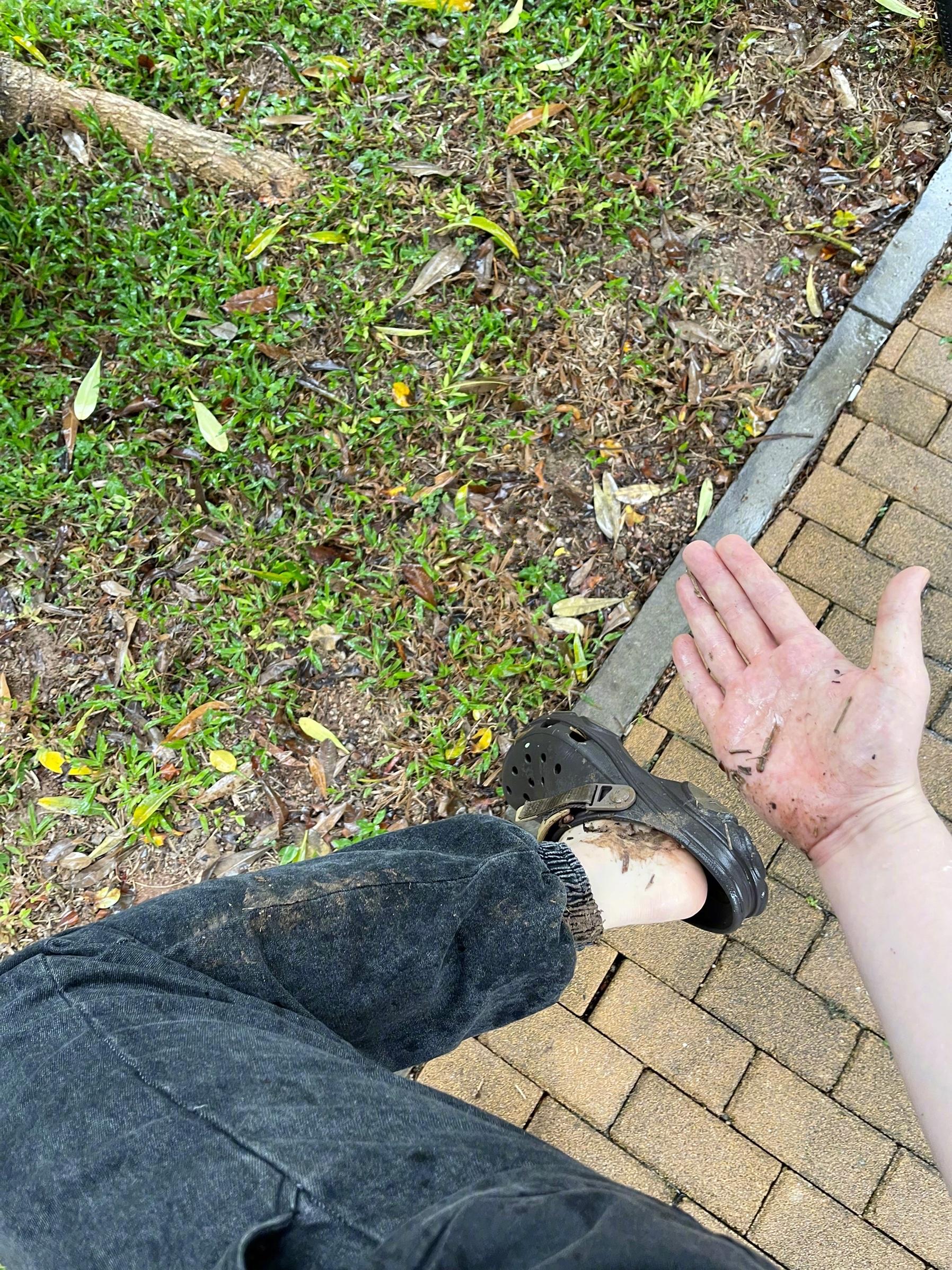 好美的雨天当然如果我没有滑倒的话一切就更美了