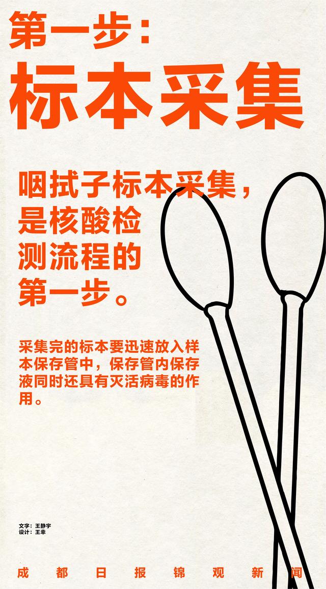 咽拭子标本采集,是核酸检测流程的第一步.