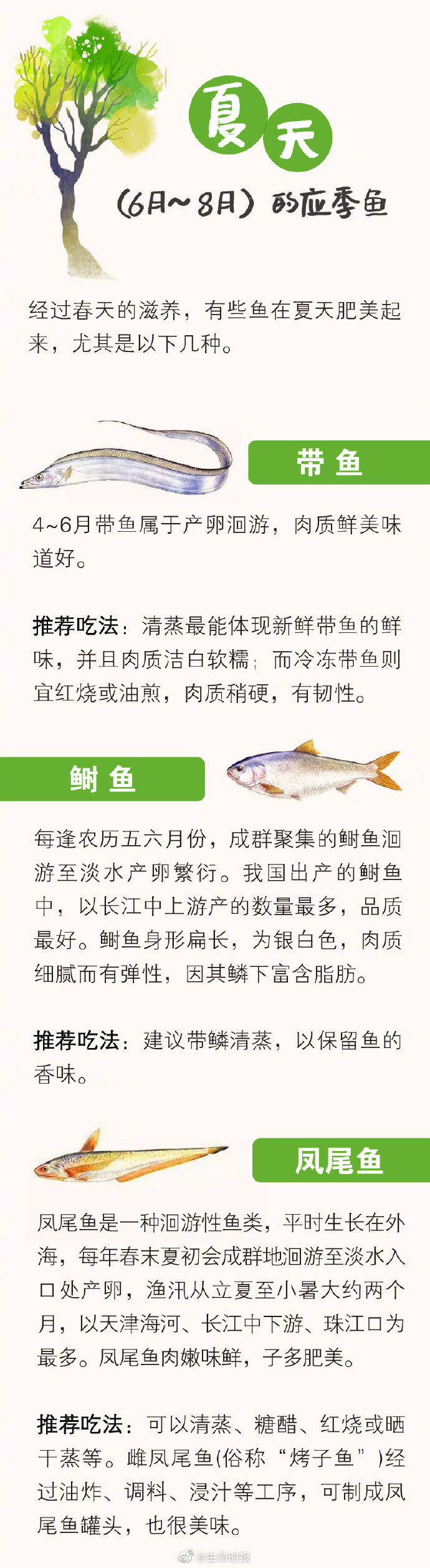 不同季节各有 时令鱼 聪明人都这样吃 不同季节各有 时令鱼 聪明人都这样吃