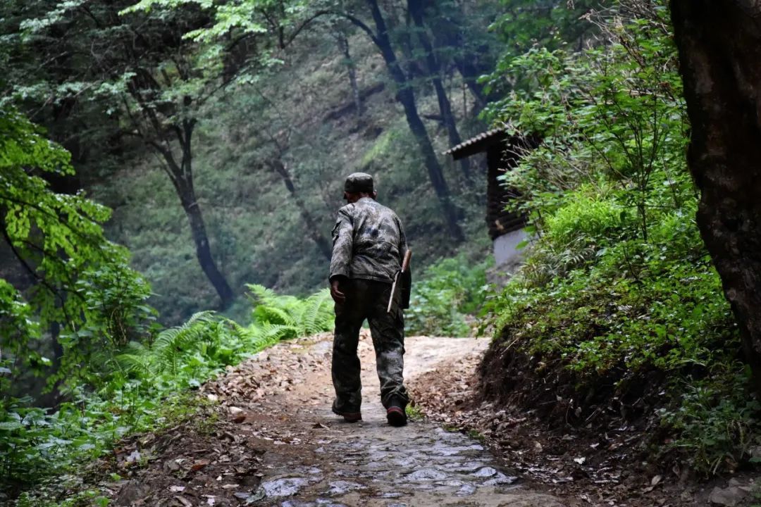 猴王信任的猎人