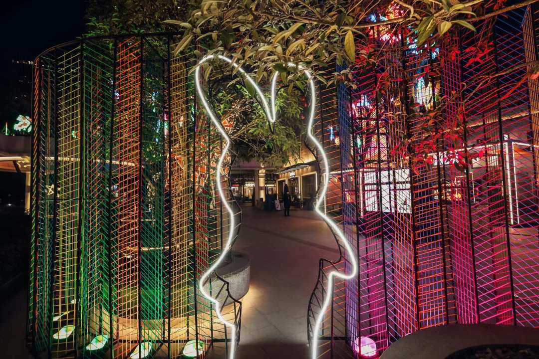 青年创想妆点百年弄堂,无边界艺术沃土正在蓬勃生长|青年|创想|艺术展