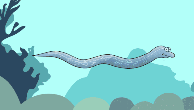 用电鳗发电靠谱吗