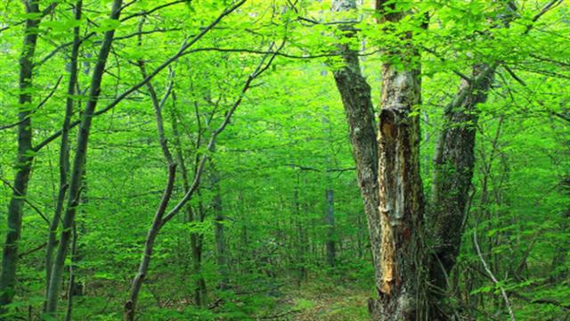 严重危机即将到来？科学家紧急发出警告：地球或将回到9000万年前休闲区蓝鸢梦想 - Www.slyday.coM