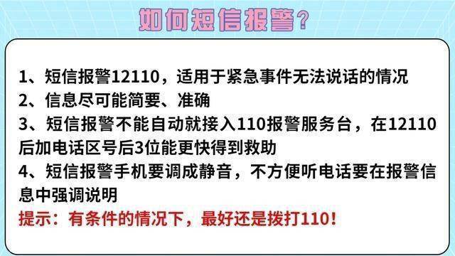 辱骂110接警员拘