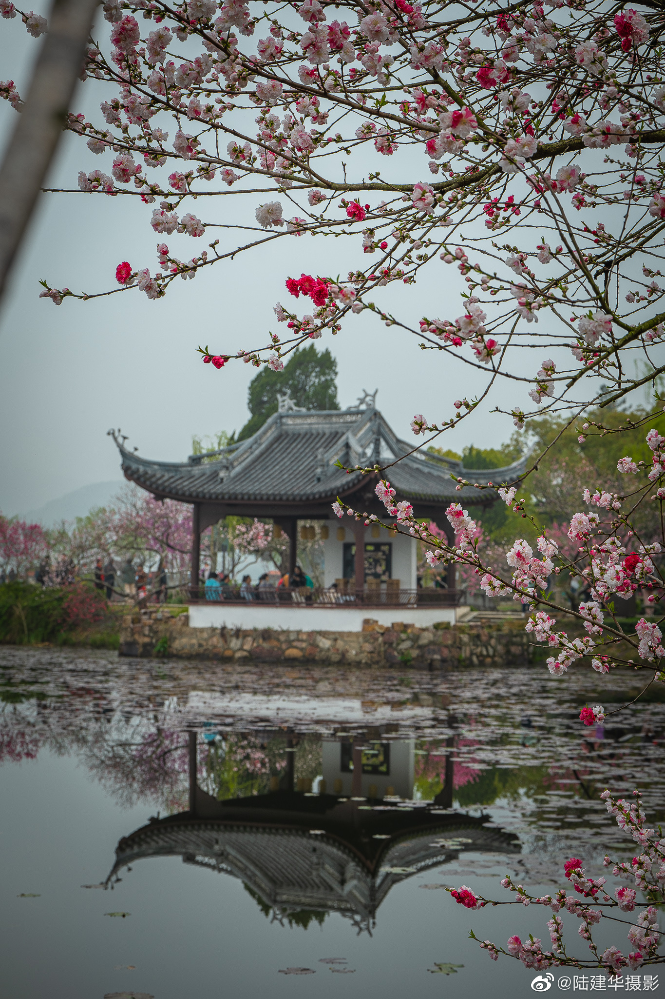 蠡园四季亭.无锡蠡园四季亭,是一处著名的景点……_高清图集_新浪网