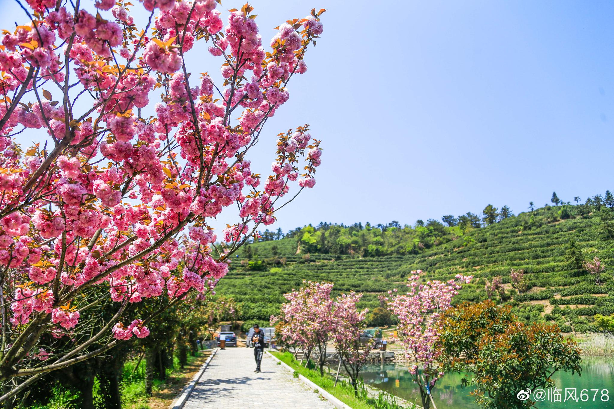 富阳里山镇安顶山村,一个山里的世外桃园,骑行户外的好去处