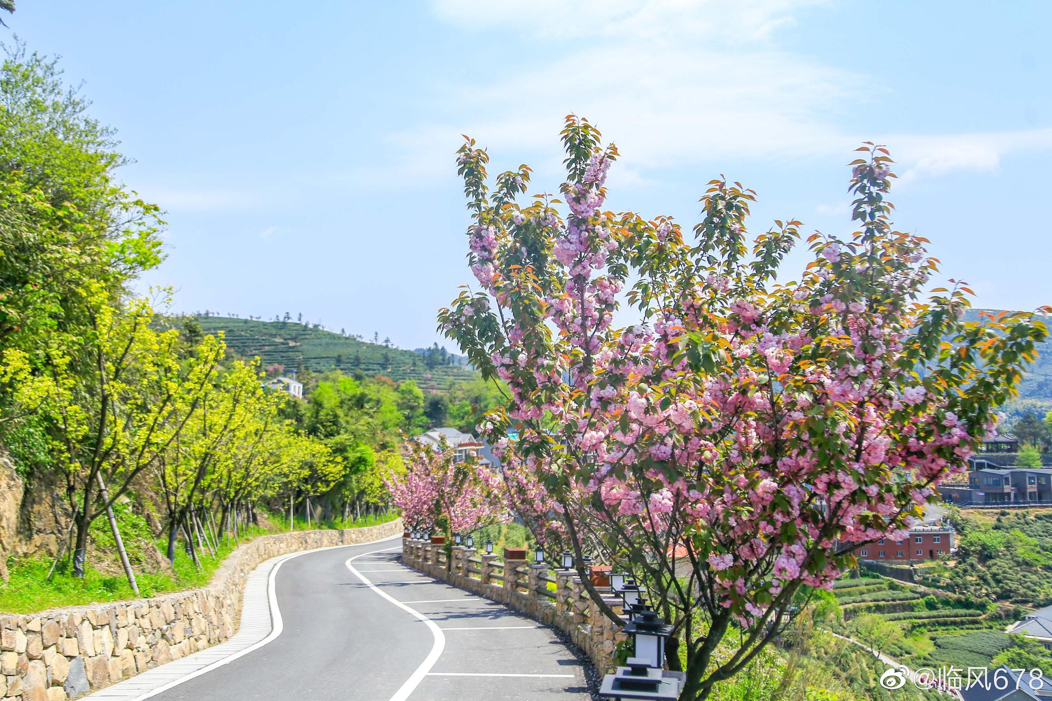 富阳里山镇安顶山村,一个山里的世外桃园,骑行户外的好去处