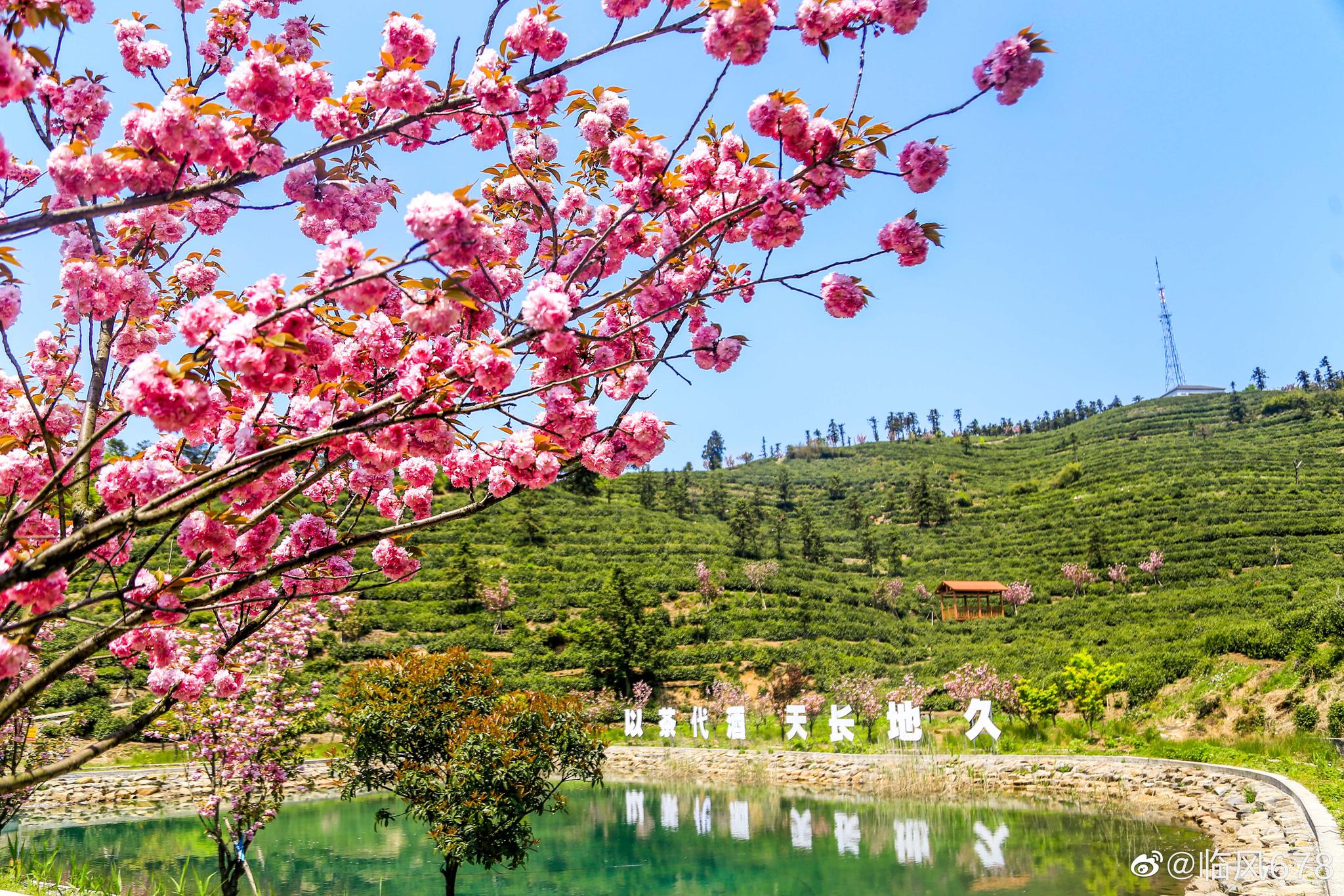 富阳里山镇安顶山村,一个山里的世外桃园,骑行户外的好去处