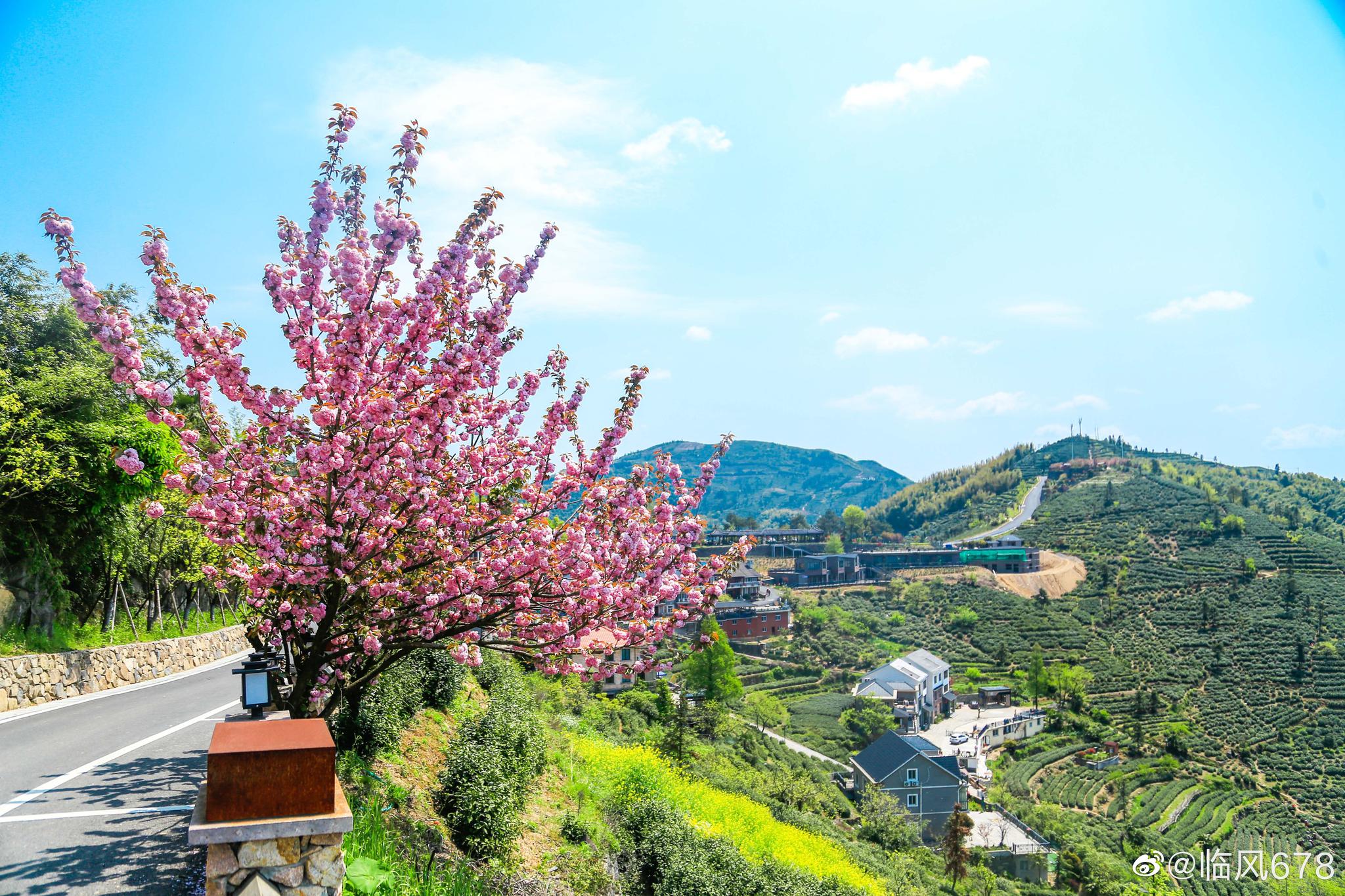 富阳里山镇安顶山村,一个山里的世外桃园,骑行户外的好去处