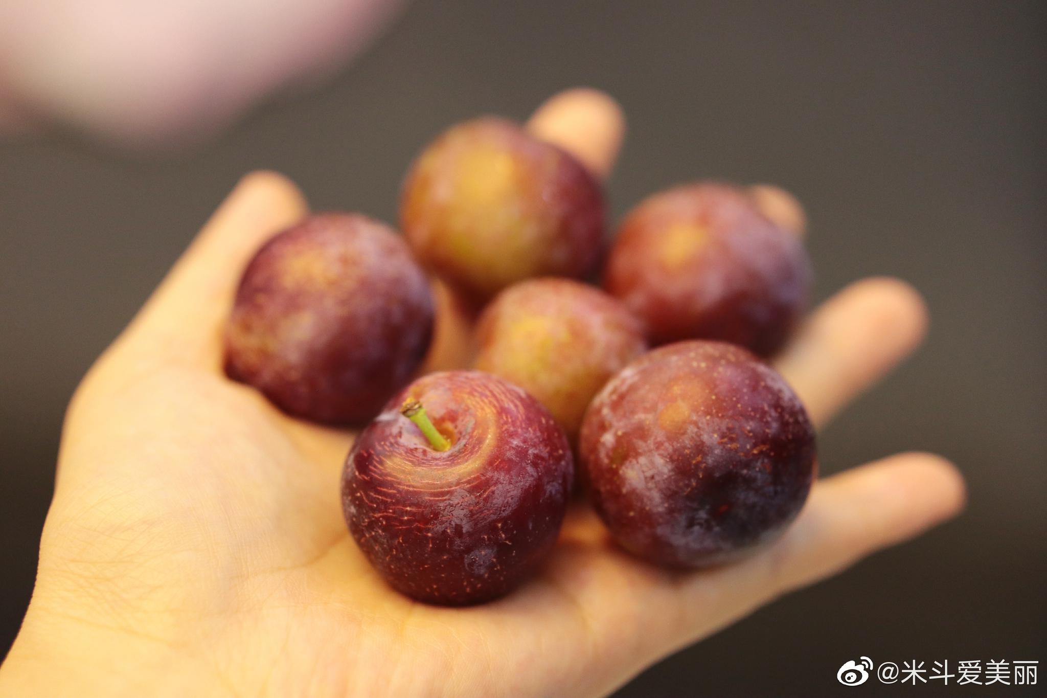 酸到我眯眼睛的李子,你们说他是怎么做到一个接一个吃的