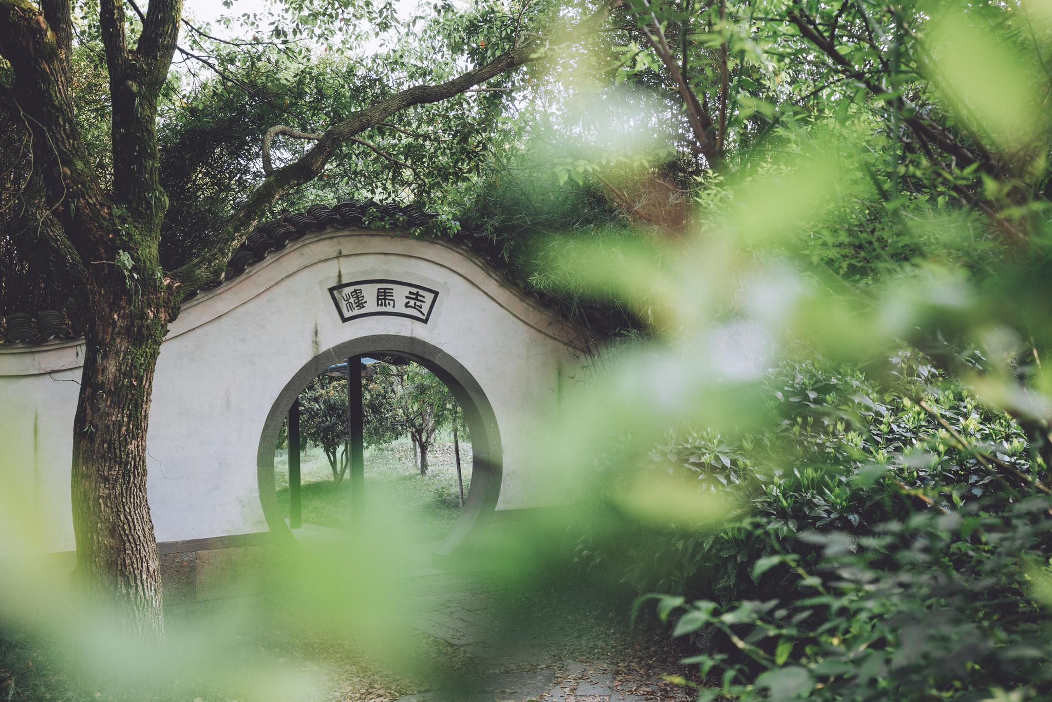 走马楼,慈城实力担当!