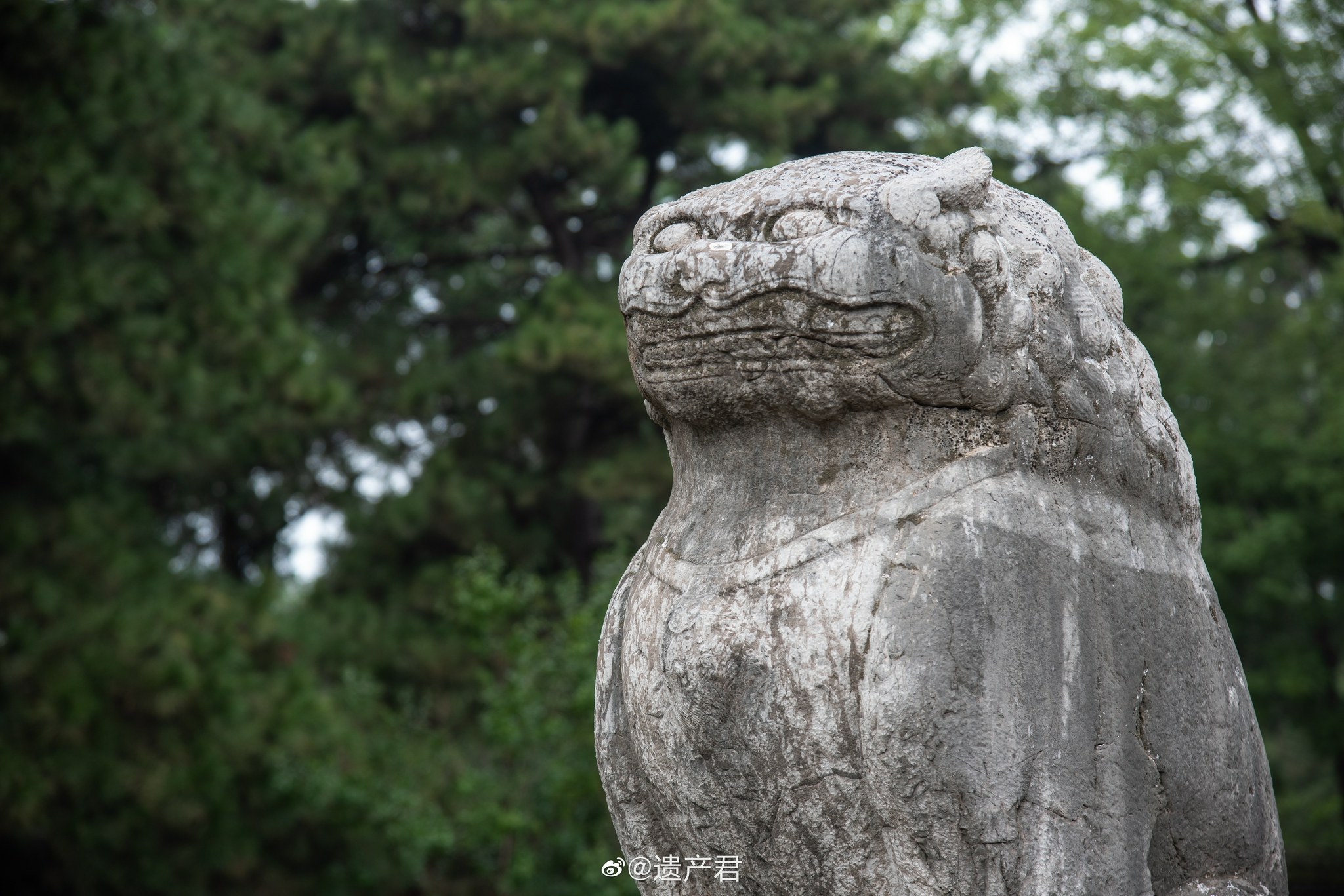 永乐宫的元代石狮子