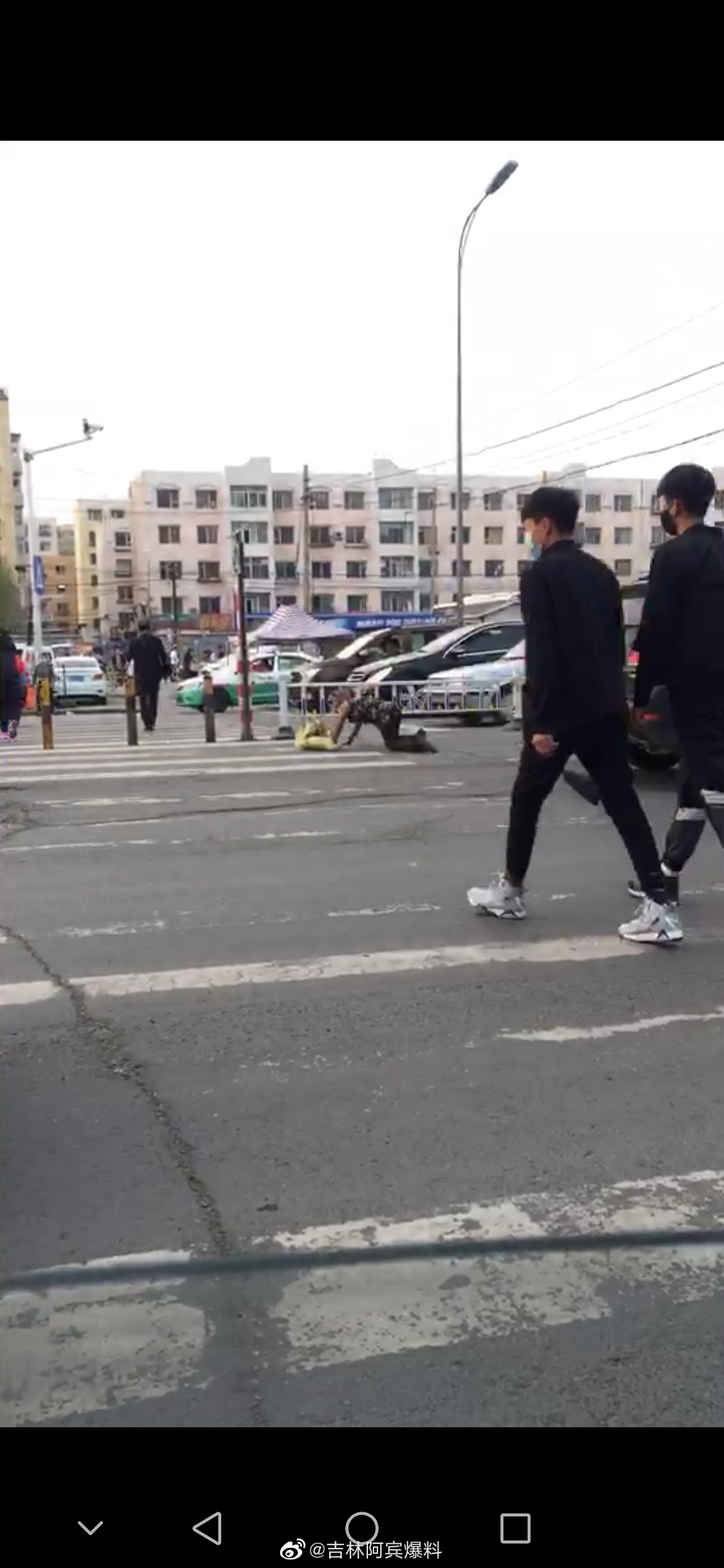 网友爆料 吉林市桃园路北宁里市场路段 有人在路中间爬行 网友爆料 吉林市桃园路北宁里市场路段 有人在路中间爬行
