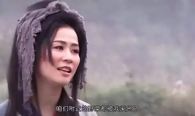 《薛平贵与王宝钏》火爆全网!“王宝钏挖野菜”为何能引发共鸣?|薛平贵与王宝钏|王宝钏|薛平贵_新浪新闻