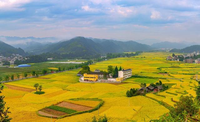生态宜居,乡风文明,治理有效,生活富裕"总要求,立足县情实际,创新工作